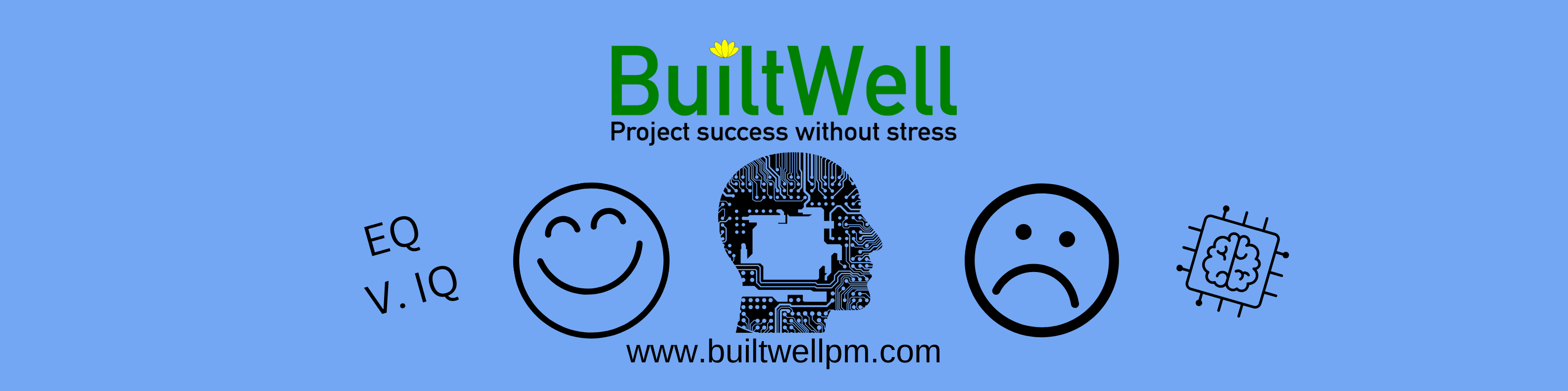 Emotional intelligence in project management