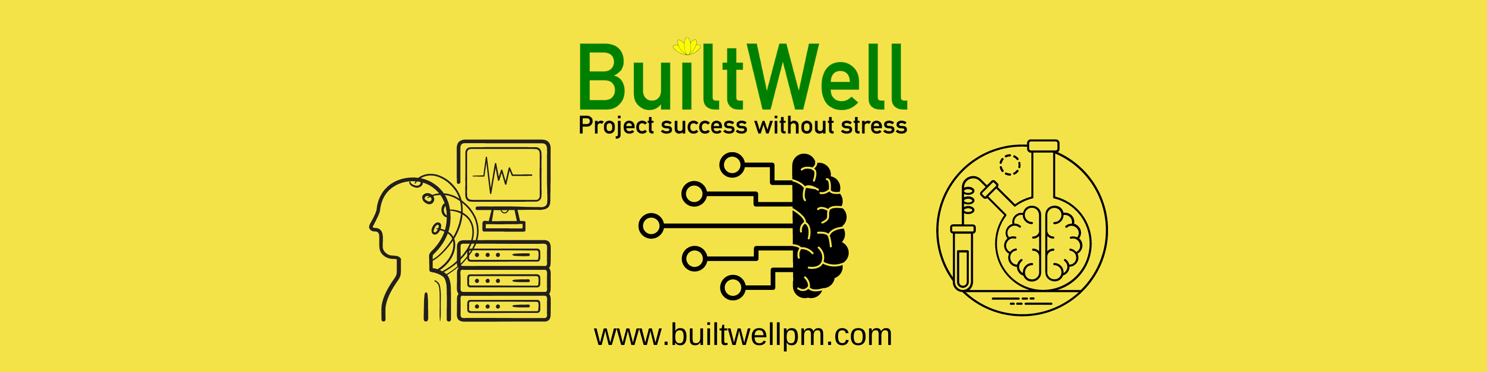 The neuroscience of high performing project teams